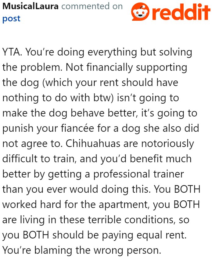When to Worry About Your Dogs Problematic Drool